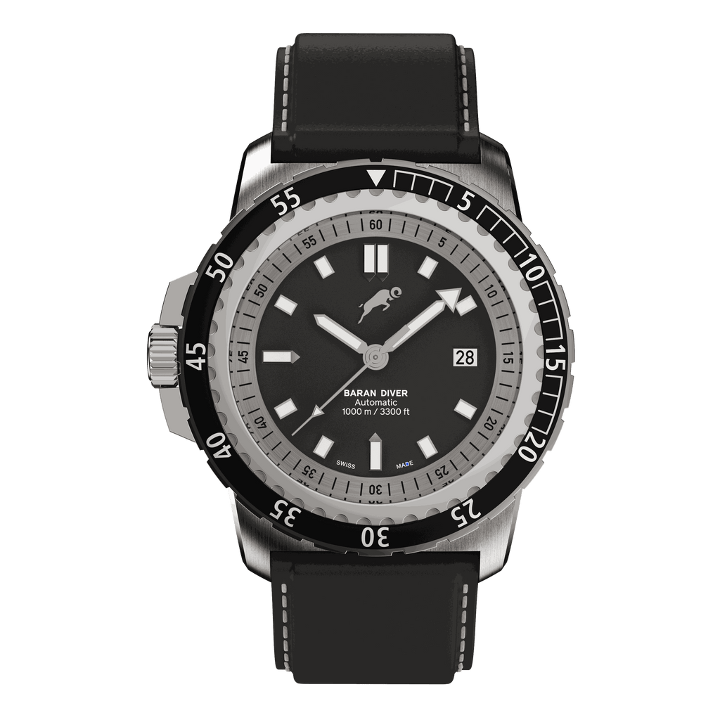 RAM Baran - R2011S1/1