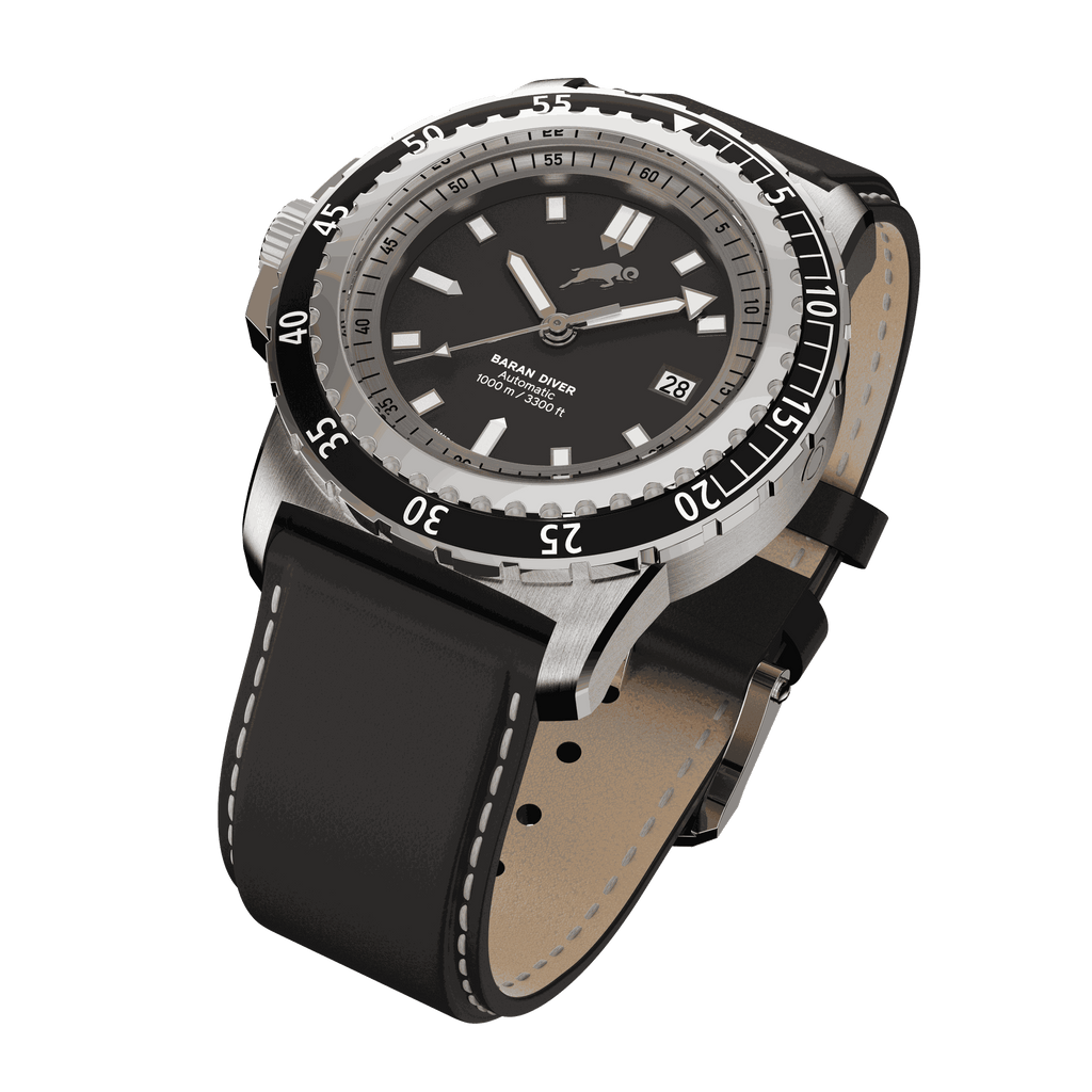 RAM Baran - R2011S1/1