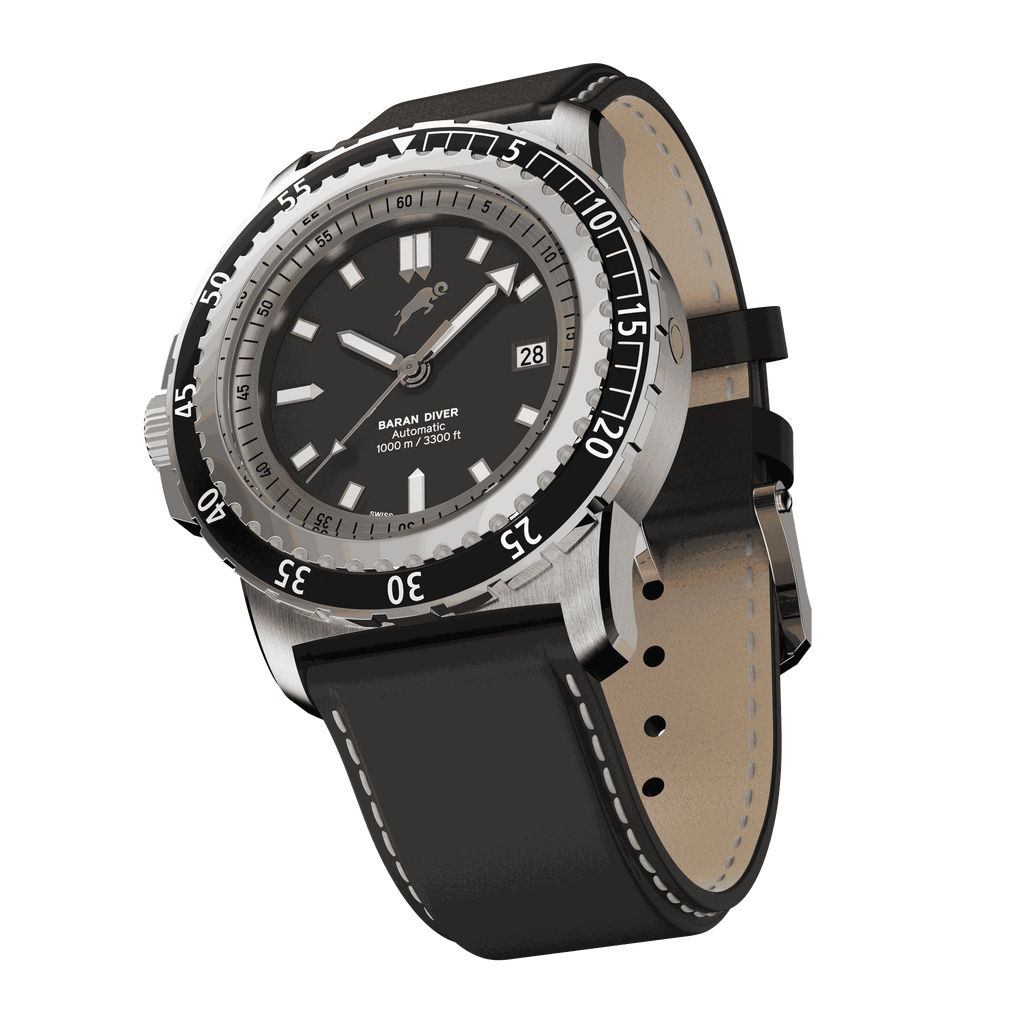 RAM Baran - R2011S1/1