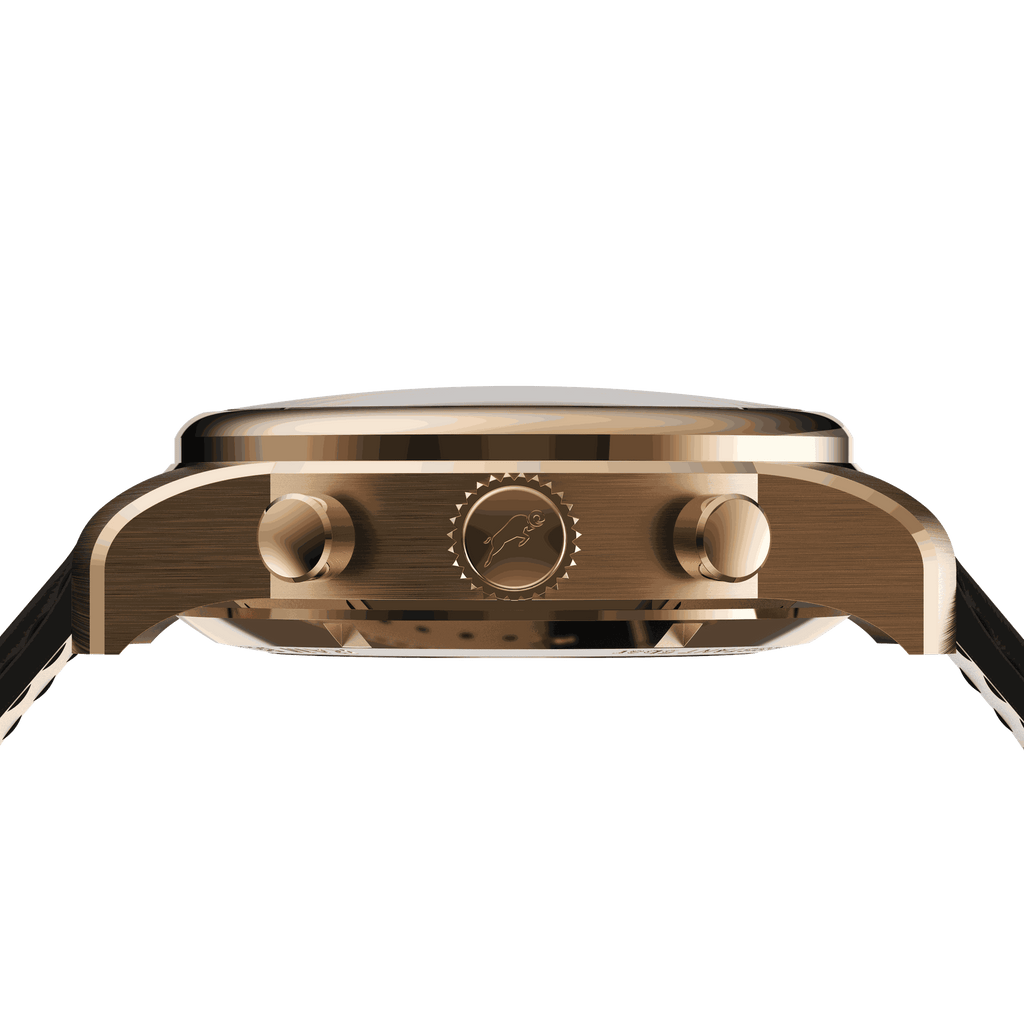 Side view of RAM Bélier R3013SR/6 Swiss watch with 42mm stainless steel case and crown details